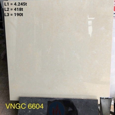 Gạch Lát Nền VNGC6604