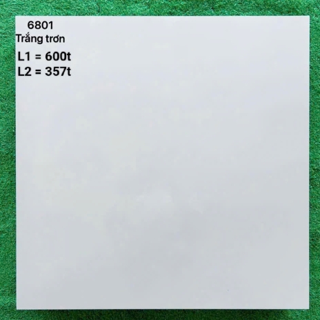 Gạch Lát Nền 6801