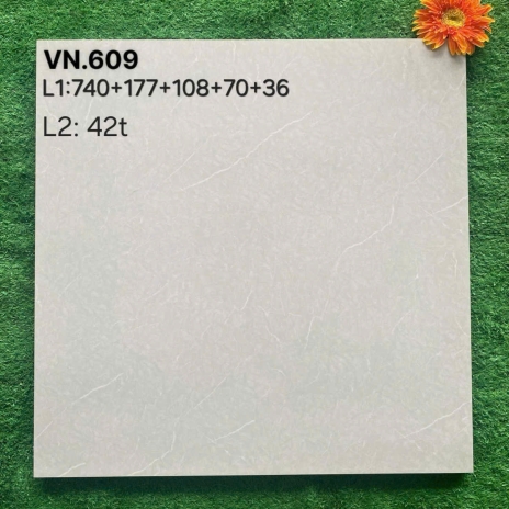 Gạch Lát Nền VN.609
